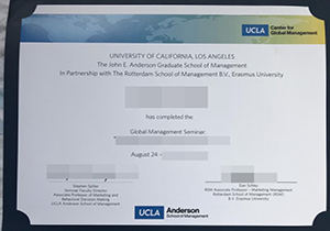 UCLA Anderson diploma-1