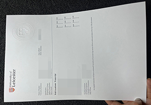 University of Leicester transcript-1
