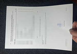 University of Twente transcript-1