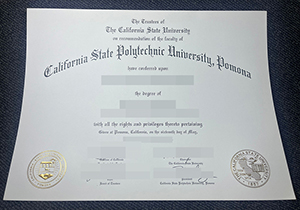 CPP diploma-1
