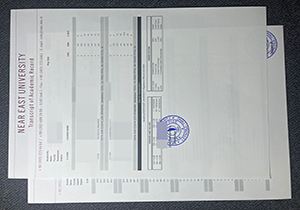 Near East University transcript-1