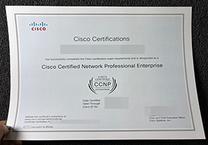CISCO Certificate-1