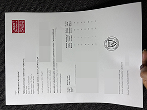 Cardiff University transcript-1