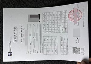 HSK Level 5 Certificate-1