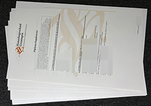 Hanzehogeschool Groningen diploma supplement-1