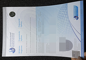 International Baccalaureate transcript-1