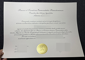 Princeton University degree-1