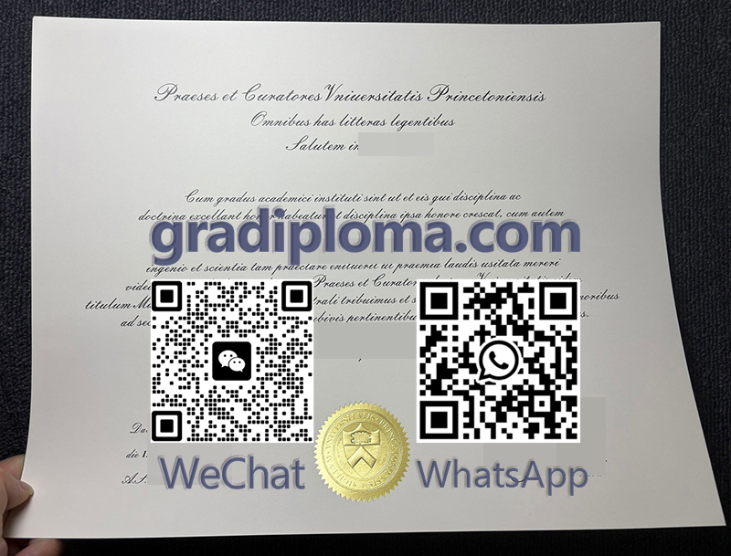 Princeton University degree