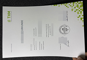 Technische Hochschule Mittelhessen diploma-1