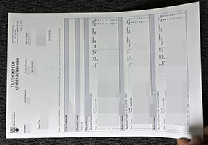 UBC Academic transcript-1