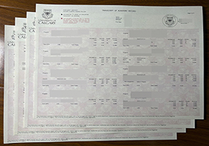 University of Calgary transcript-1