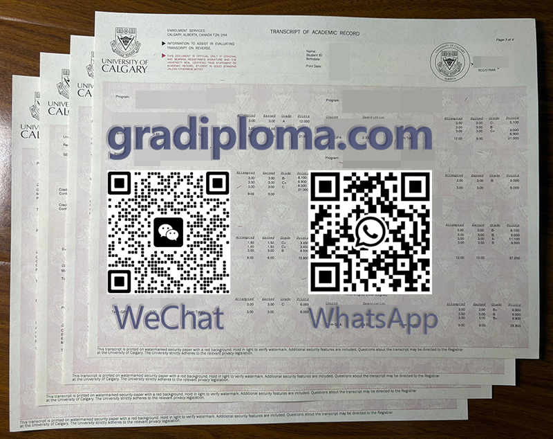 University of Calgary transcript