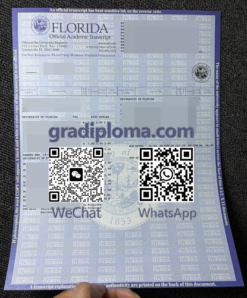 University of Florida transcript