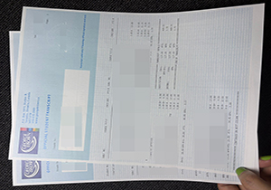 George Brown College transcript-1