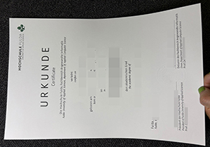 Hochschule Fulda Urkunde-1