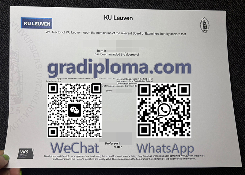 Katholieke Universiteit Leuven degree