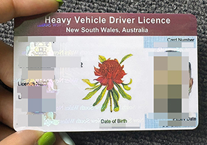 NSW Heavy Vehicle Driver Licence-1