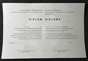 TUKE diploma-1
