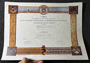 Università di Bologna diploma-1