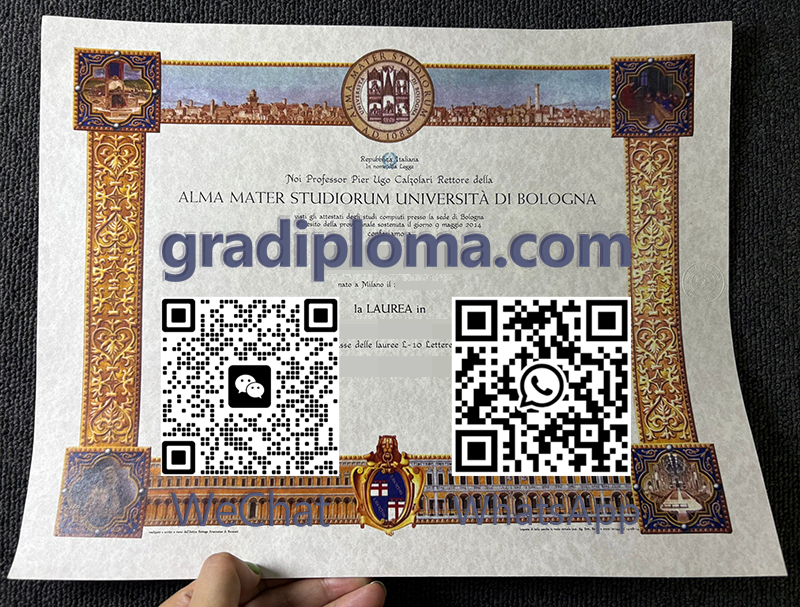 Università di Bologna diploma