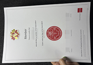 ACCA certificate membership-1