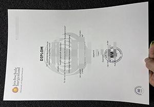 Hochschule Burgenland diploma-1