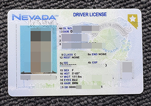Nevada ID-1