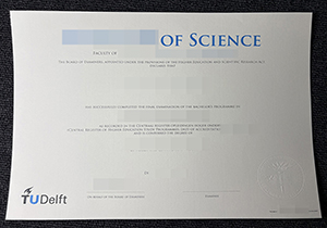 TU Delft diploma-1