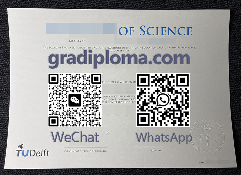 TU Delft diploma