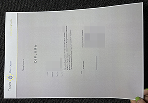 Tilburg University diploma-1