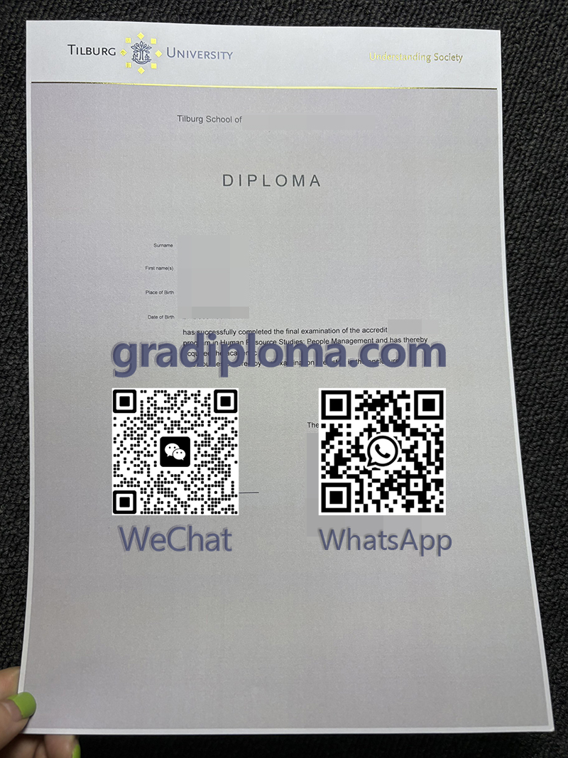 Tilburg University diploma