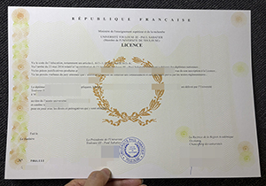 Université de Toulouse III diploma-1