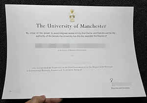 University of Manchester degree-1