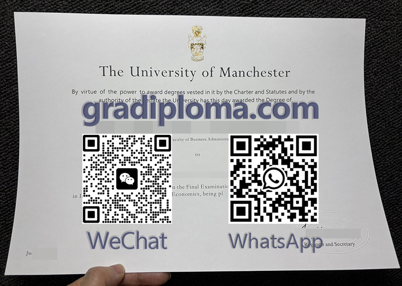 University of Manchester degree