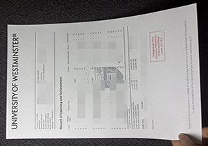 University of Westminster transcript-1