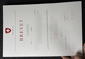 Confederation Suisse Brevet-1