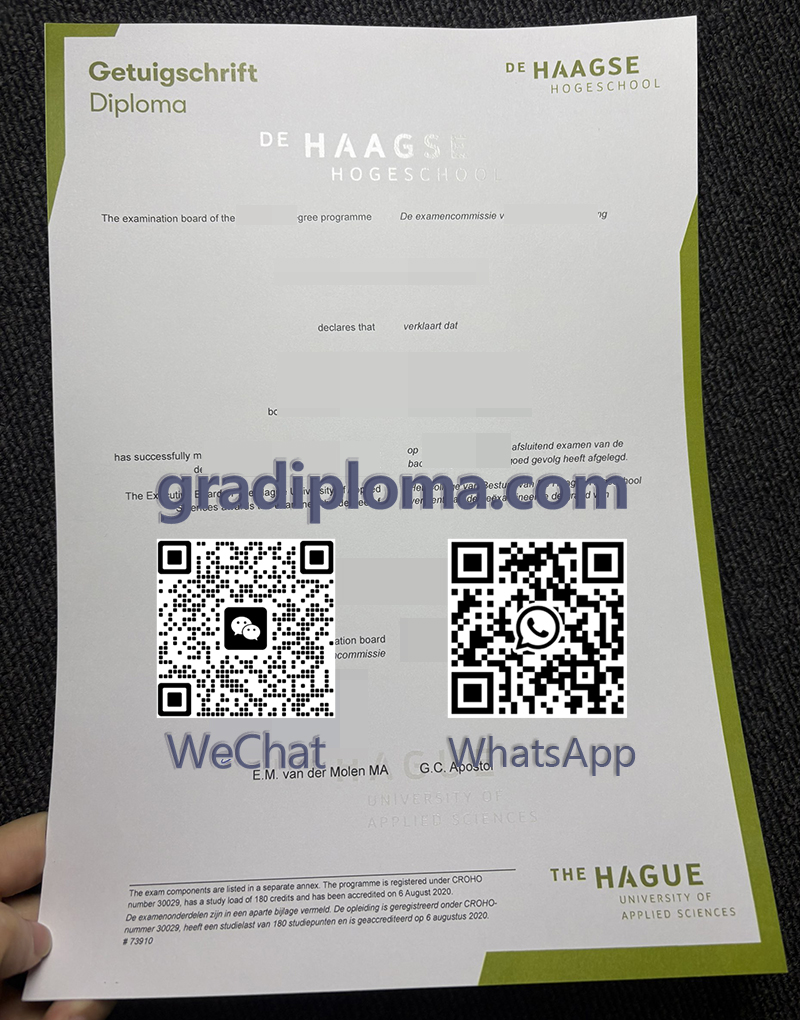 De Haagse Hogeschool degree