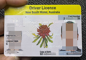 How to get fake id-1