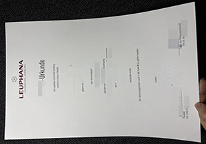 Leuphana Universität Lüneburg Urkunde-1