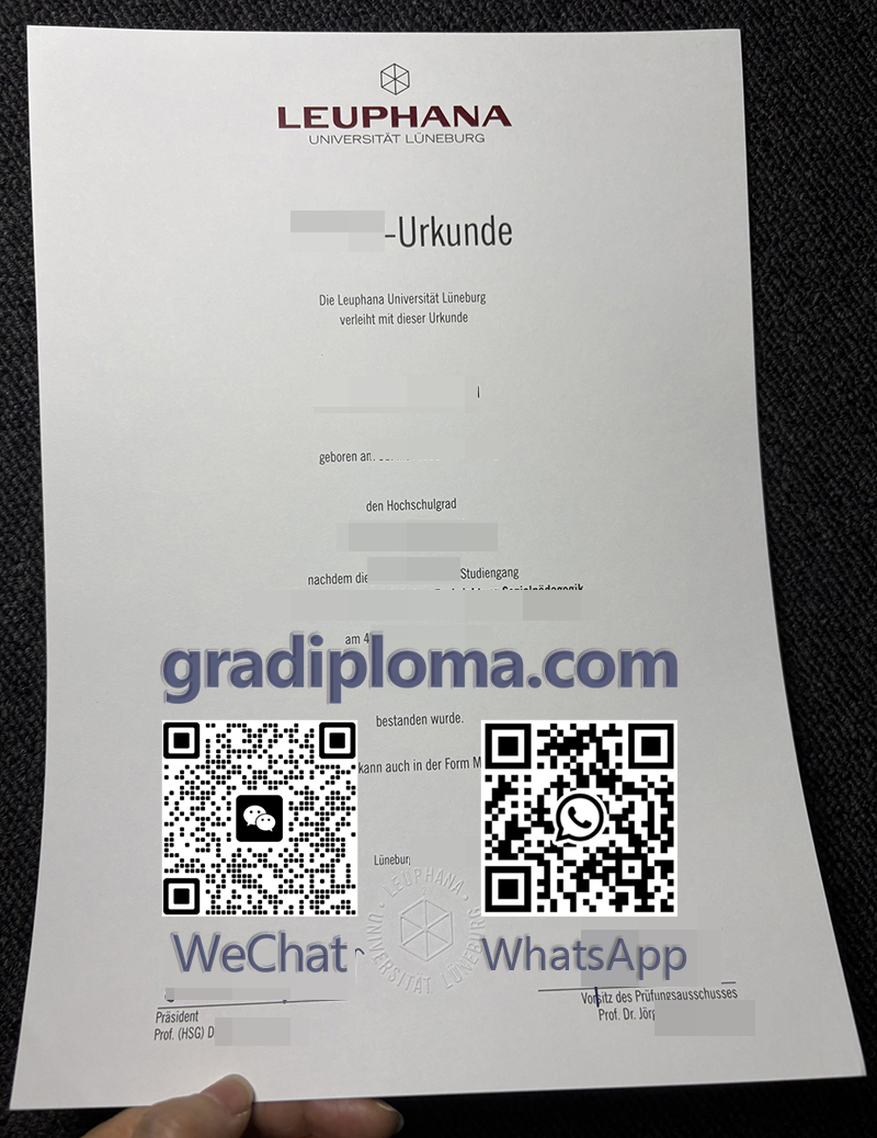 Leuphana Universität Lüneburg Urkunde