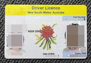 NSW Driver Licence-1