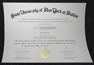 SUNY Buffalo degree-1