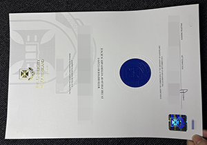 The University of Queensland degree-1