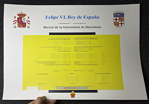 Universidad de Barcelona diploma-1