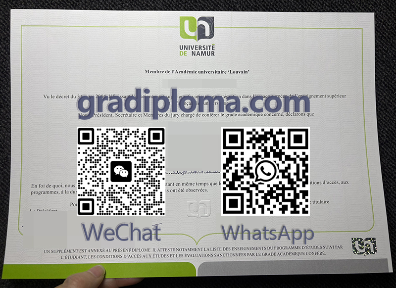 Université de Namur degree