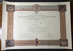 University of Bologna diploma-1