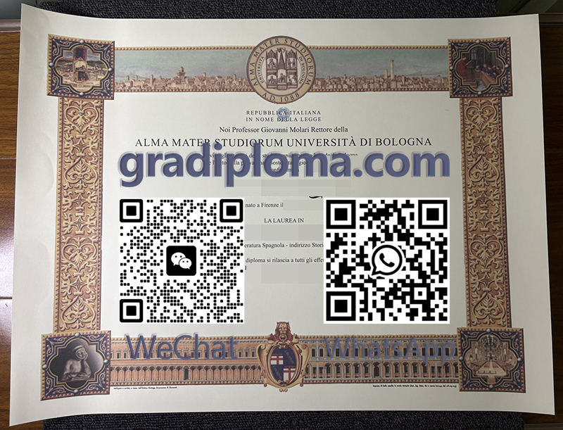 University of Bologna diploma
