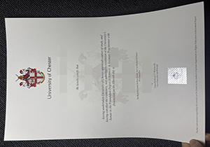 University of Chester degree-1