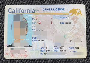 California ID-1