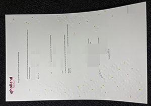 Hogeschool Inholland diploma-1